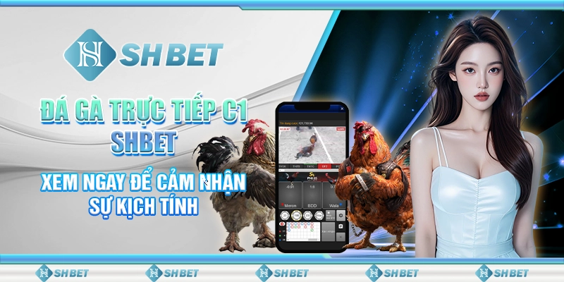 Đá Gà Trực Tiếp C1 SHBET: Xem Ngay Để Cảm Nhận Sự Kịch Tính