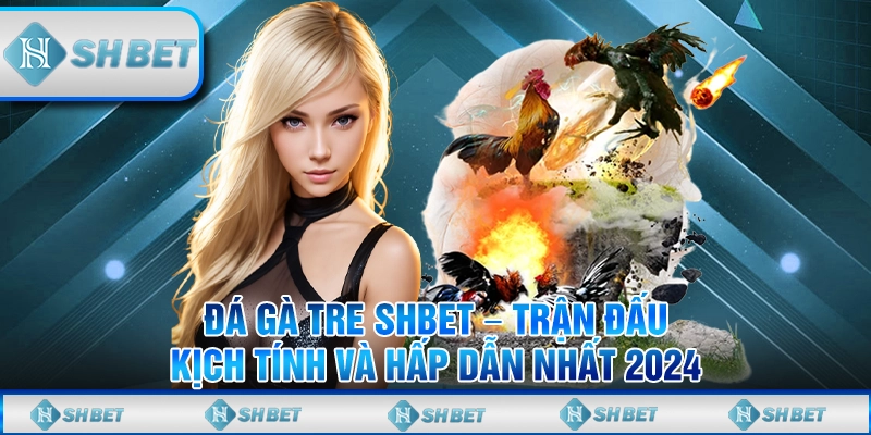Đá Gà Tre SHBET – Trận Đấu Kịch Tính Và Hấp Dẫn Nhất 2024