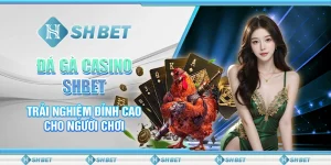 đá gà casino