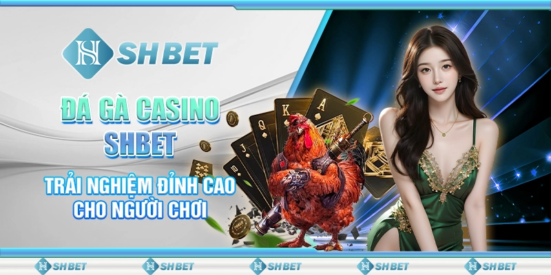 đá gà casino