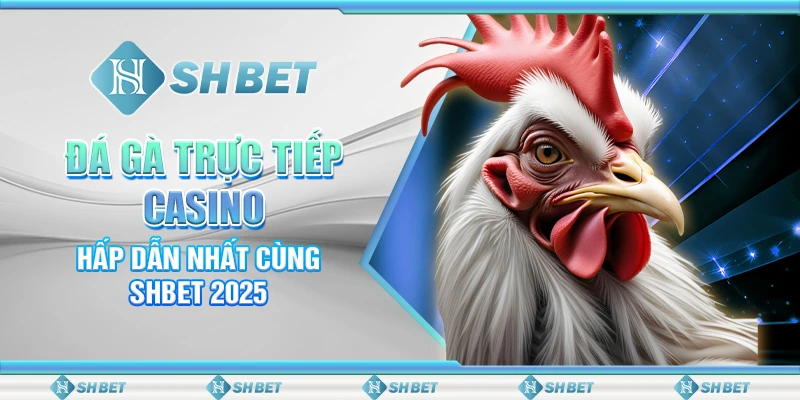 Đá Gà Trực Tiếp Casino Hấp Dẫn Nhất Cùng SHBET 2025