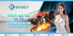 Trận Đá Gà 24 Tỷ Kịch Tính Và Hấp Dẫn Chỉ Có Tại SHBET