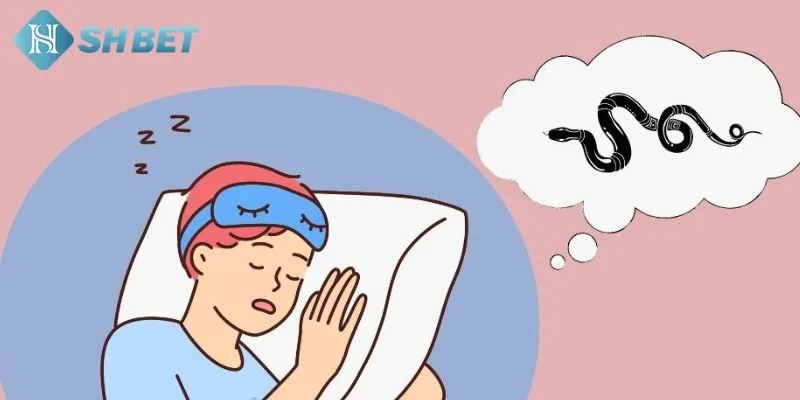 Khái quát một số thông tin hữu ích về giấc mơ thấy rắn
