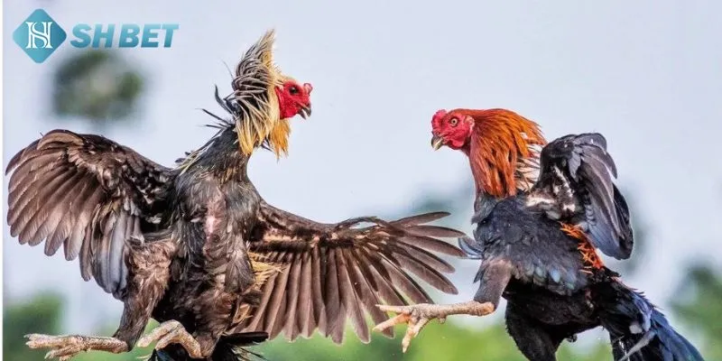 Những yếu tố vô cùng quan trọng mà bạn cần phải đặc biệt chú ý