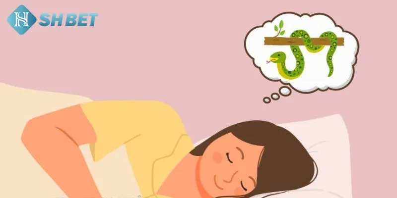 Tổng hợp những giấc ngủ nằm mơ thấy rắn độc lạ